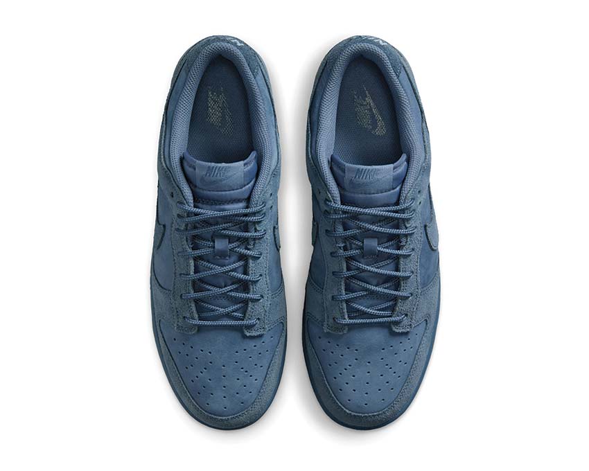 Nike Dunk Low Retro SE IB6651-400