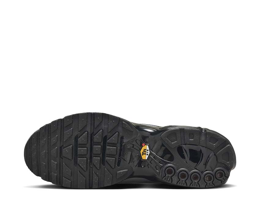 Nike Air Max Plus Wolf Grey / Black - Metallic Silver HM6850-001