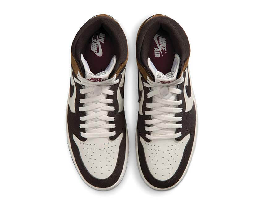 Air Jordan 1 Retro High OG DZ5485-201