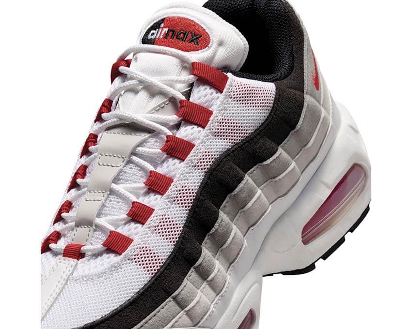 Nike Air Max 95 Big Bbl Premium IB7862-100