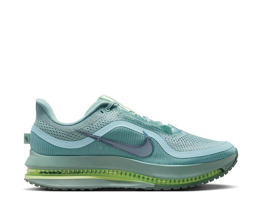 Nike Pegasus Premium HQ2592-009