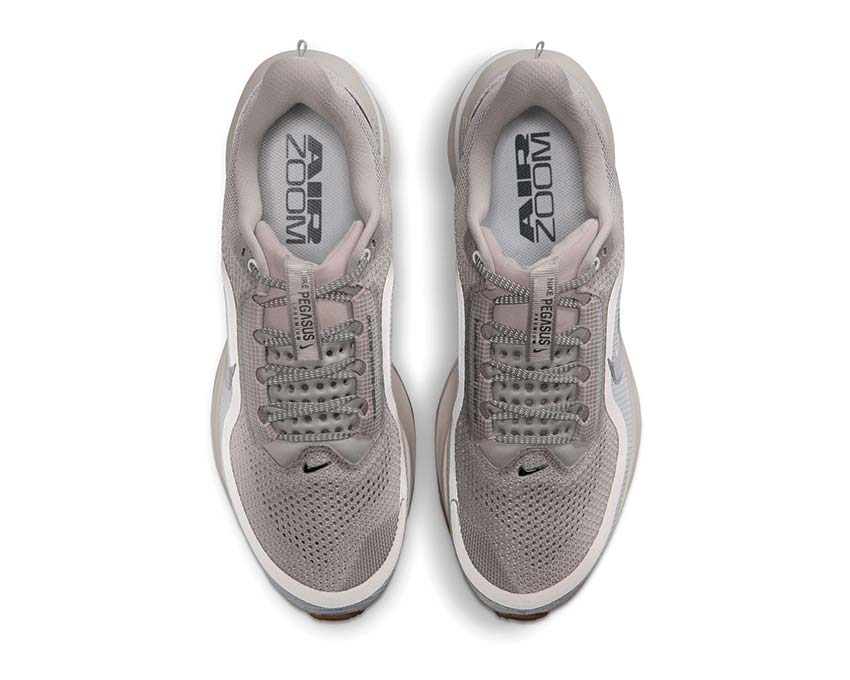  Nike Pegasus Premium HQ2592-010
