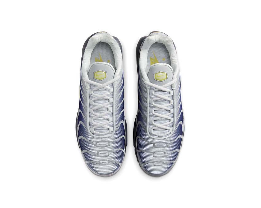 Nike Air Max Plus Metallic Silver détail — lignes tubulaires tige argentée