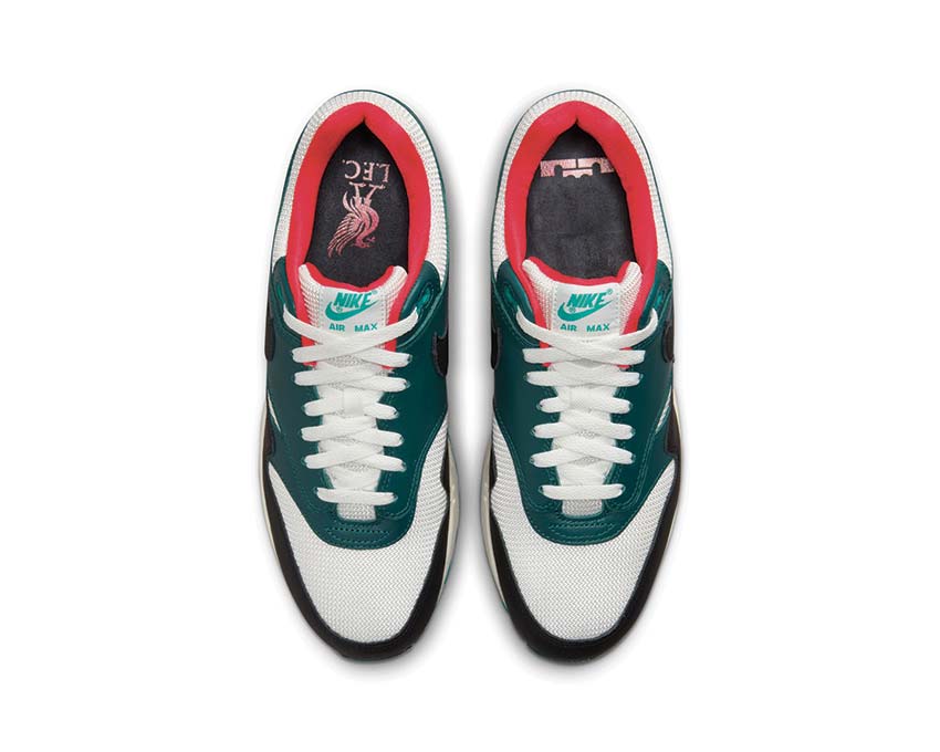 Nike Air Max 1 Prm Black FB8914-100