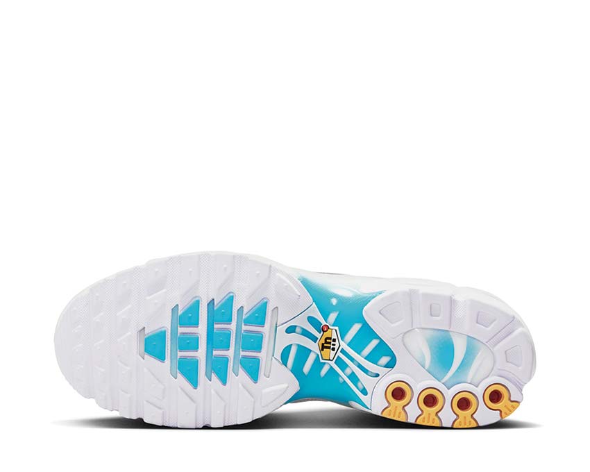 Nike Air Max Plus White / Metallic Silver - Baltic Blue FQ2397-100
