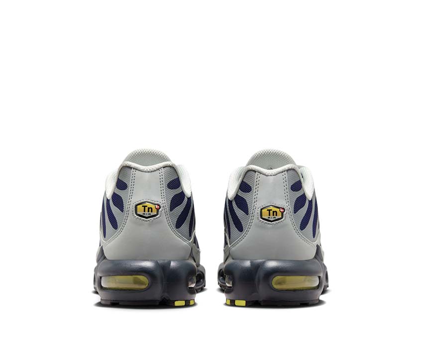 Nike Air Max Plus Metallic Silver semelle — unités Air Max TN talon